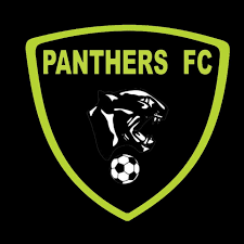 Câu lạc bộ bóng đá Panthers - Lịch sử, thành tích và những câu chuyện bên lề