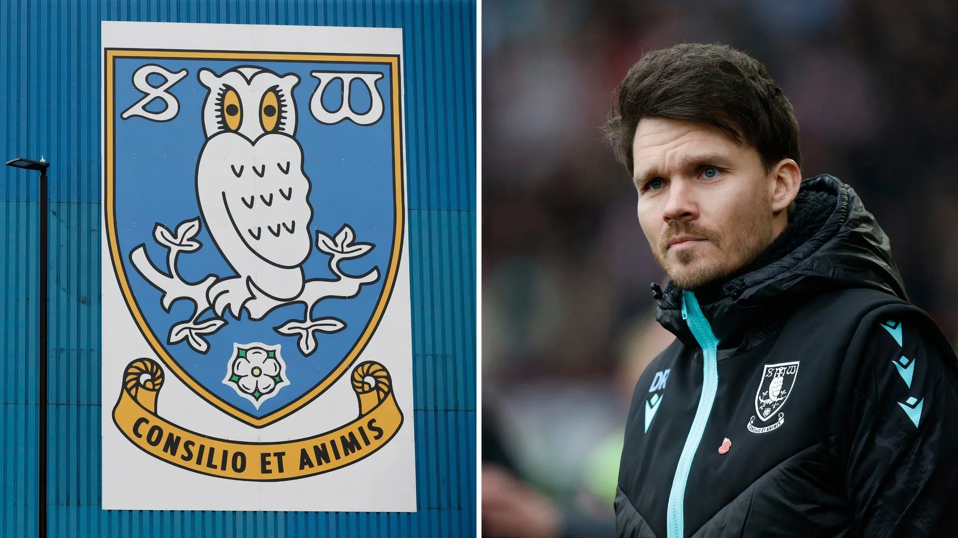 Danny Rohl trên sân nhà Hillsborough trong màu áo Sheffield Wednesday