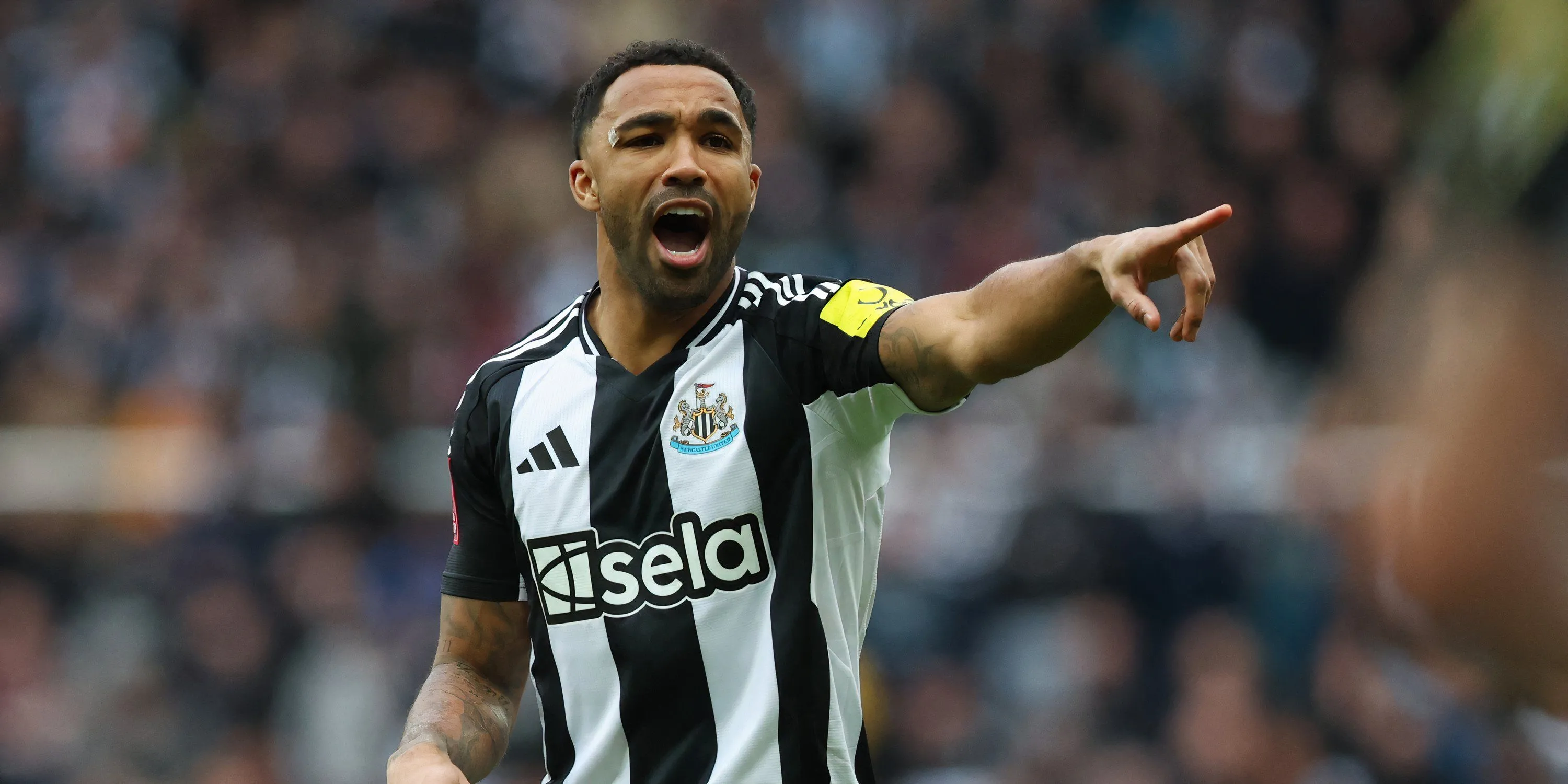 Callum Wilson tiền đạo của Newcastle United