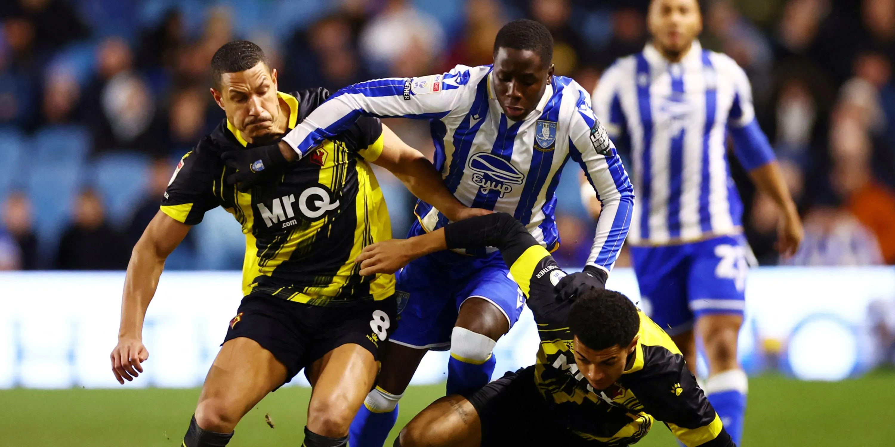 Djeidi Gassama trong màu áo Sheffield Wednesday tại giải Championship